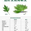 赤龙湖蕲艾
