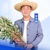 蕲元春艾