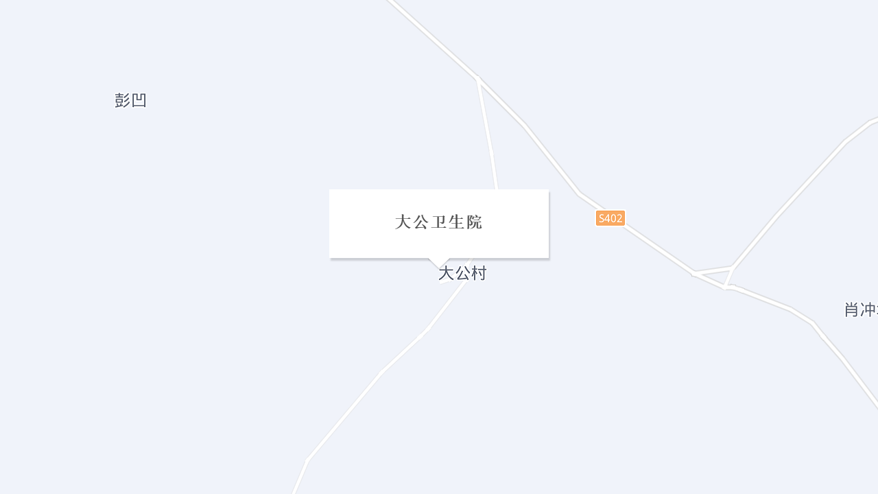 大公卫生院地址