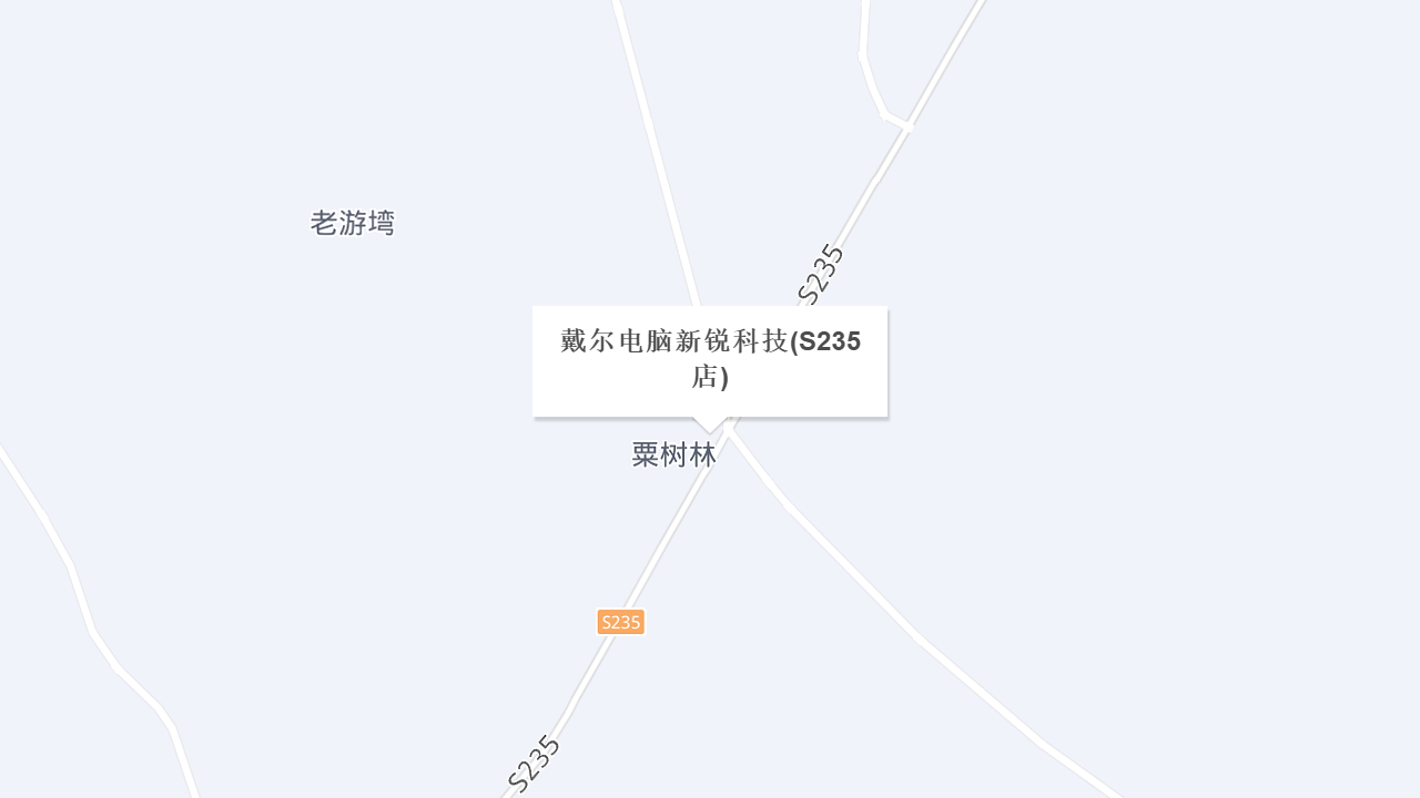 戴尔电脑新锐科技(S235店)地址