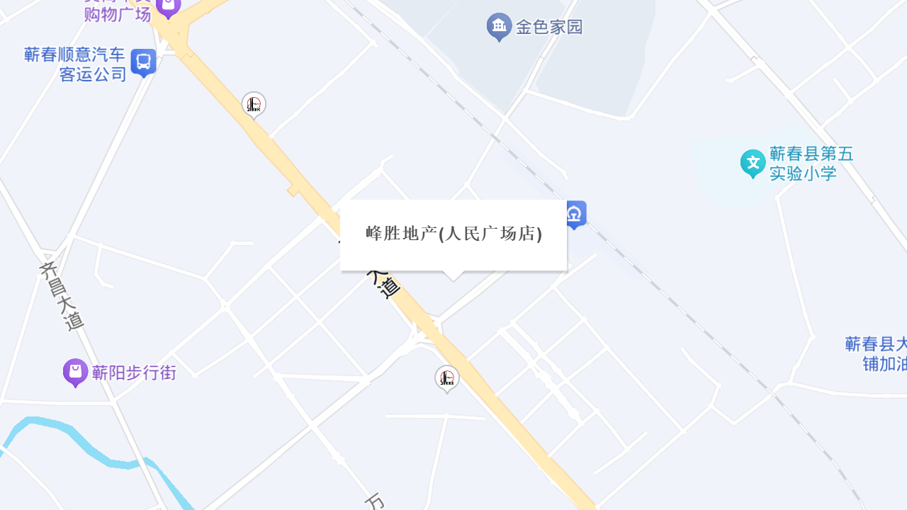峰胜地产(人民广场店)地址