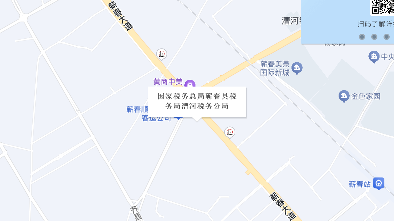 国家税务总局蕲春县税务局漕河税务分局地址