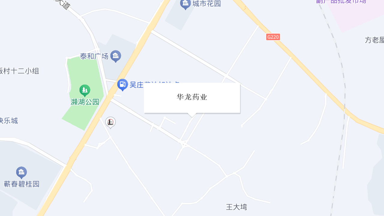 华龙药业地址