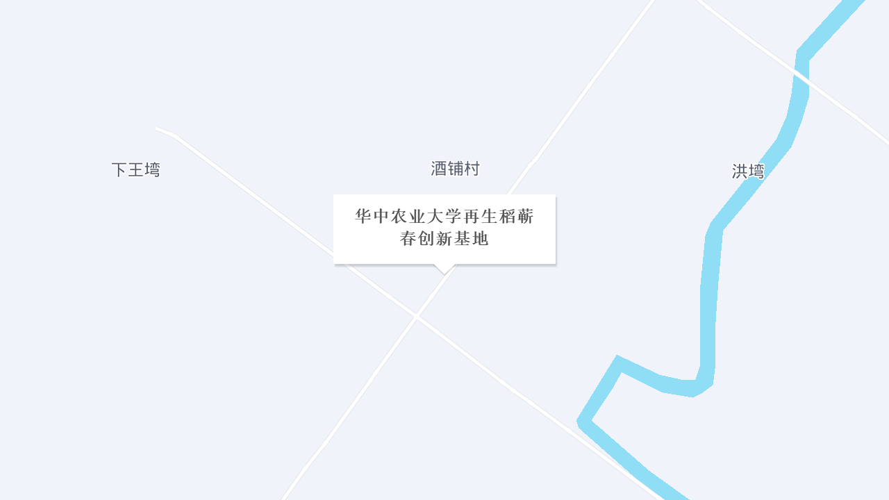 华中农业大学再生稻蕲春创新基地地址