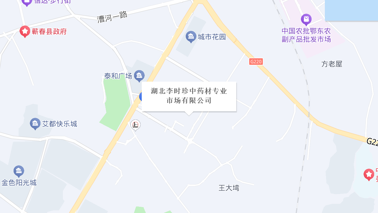 湖北李时珍中药材专业市场有限公司地址