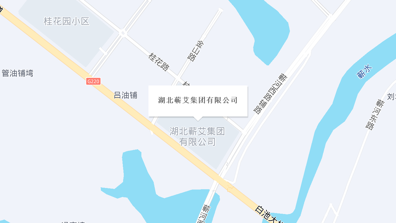 湖北蕲艾集团有限公司地址