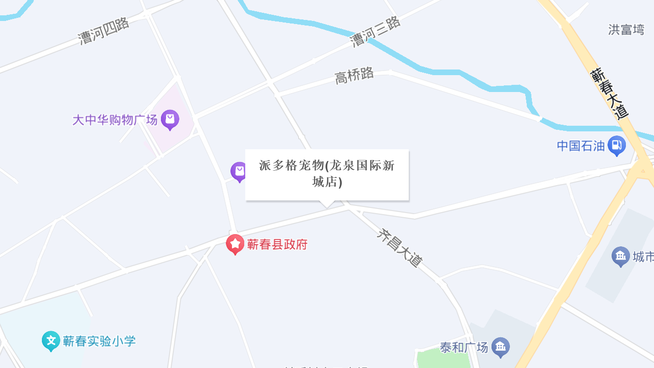派多格宠物(龙泉国际新城店)地址