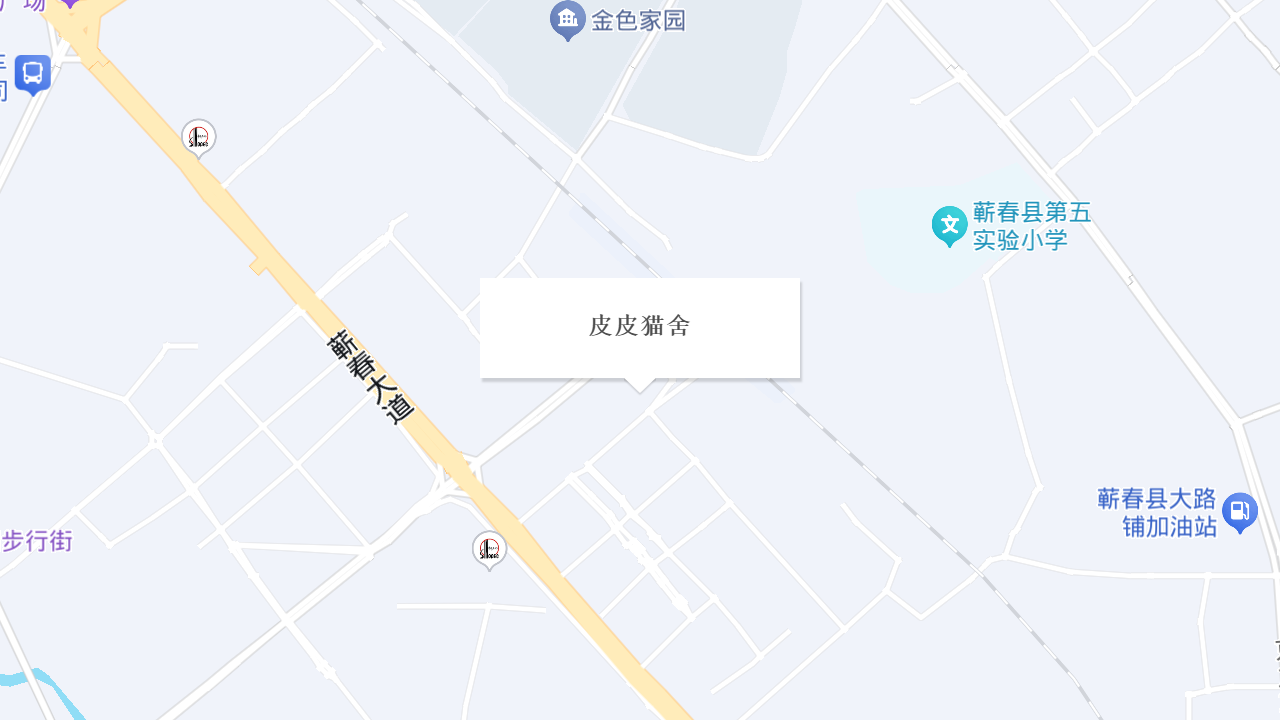 皮皮猫舍地址