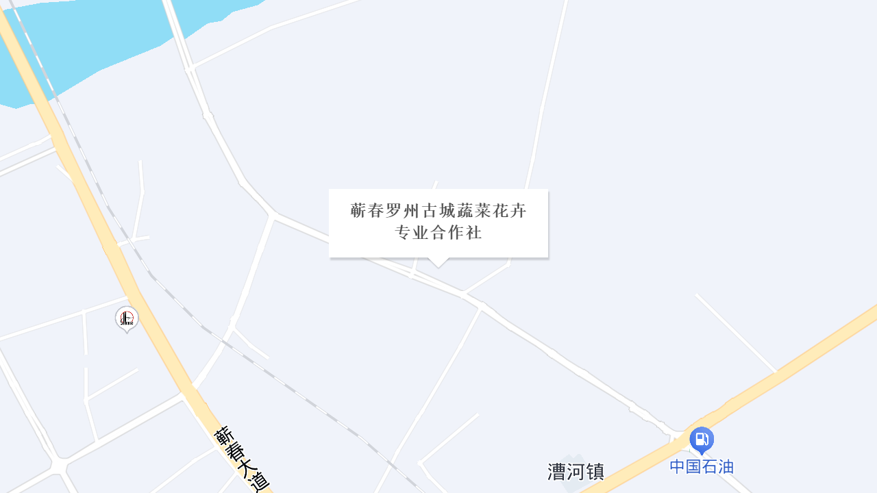 蕲春罗州古城蔬菜花卉专业合作社地址