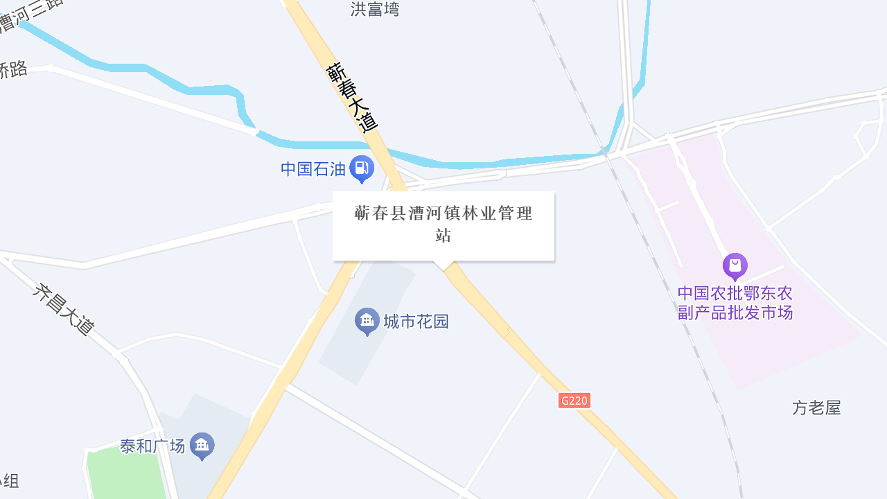蕲春县漕河镇林业管理站地址