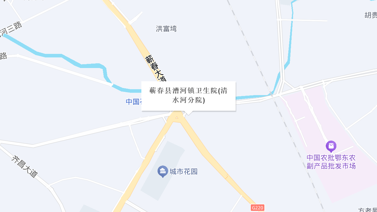 蕲春县漕河镇卫生院(清水河分院)地址
