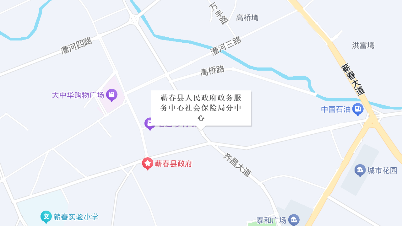 蕲春县人民政府政务服务中心社会保险局分中心地址