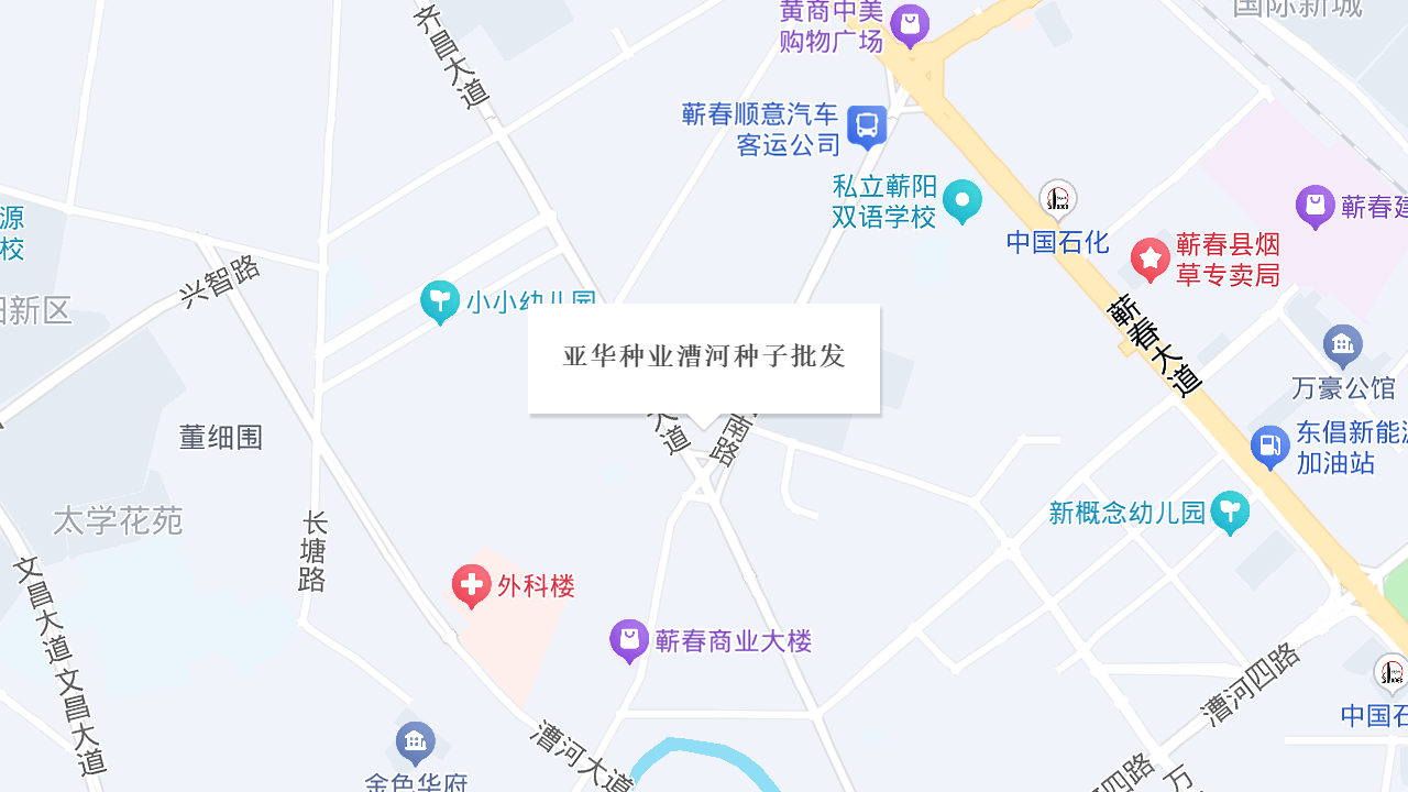 亚华种业漕河种子批发地址