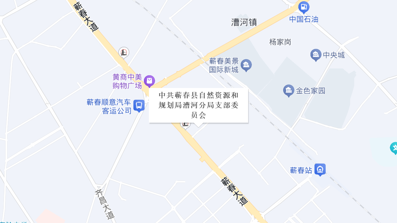 中共蕲春县自然资源和规划局漕河分局支部委员会地址